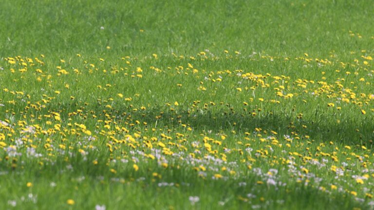 DPAM: Nachhaltigkeitsausblick zur Jahresmitte 2022