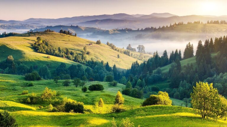 ESG Webinar|Sustainable Investing in Green Deposits & Green Bonds 05-Oct-2022