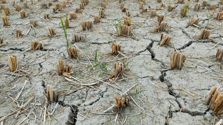 Zukunftsfähige Wasserversorgung in Zeiten der Klimakrise – Schutz für unser höchstes Gut