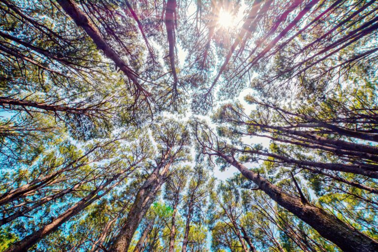 United Bankers: ESG – The nordic approach