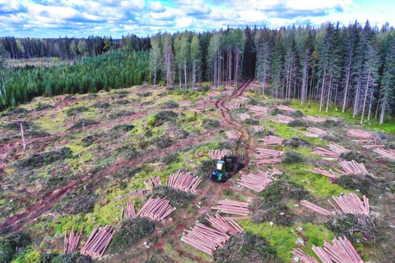 United Bankers: The value chain of forestry