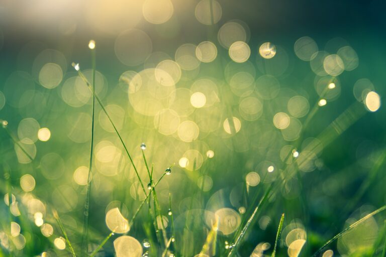 Warburg Invest AG legt gemeinsam mit Alpha Centauri den Climate Smart Europe LS auf