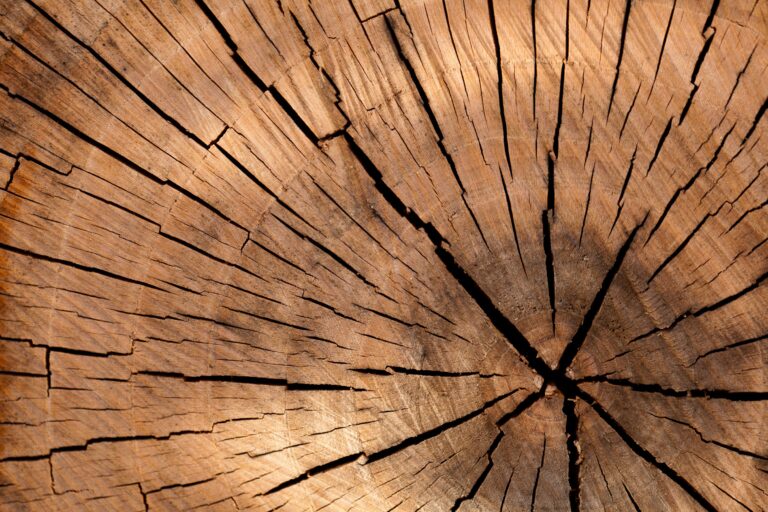 United Bankers: Timber as an asset class