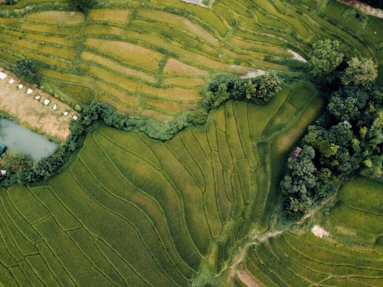 altii Newsletter 09.01.2023