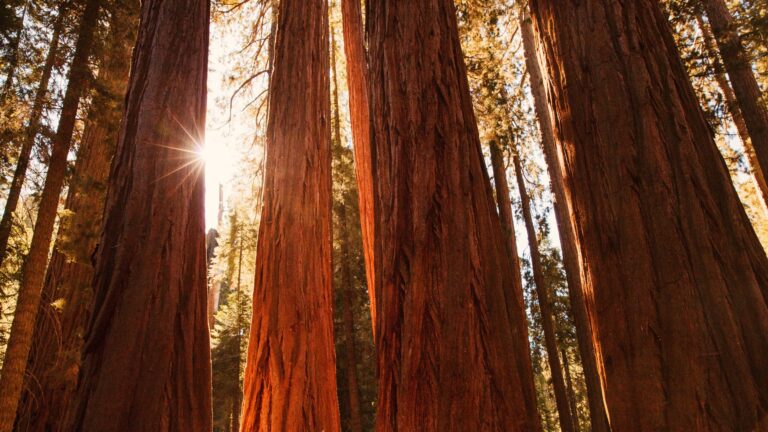 altii Newsletter 08.05.2023