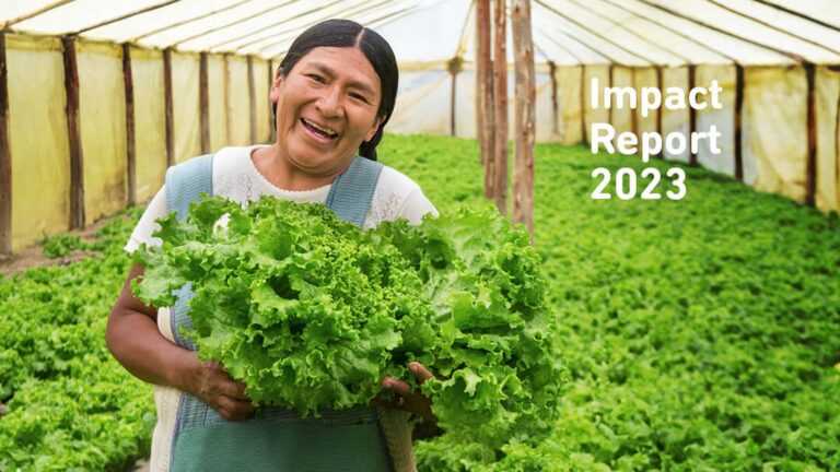 In­vest in Vi­si­ons ver­öf­fent­licht Im­pact Re­port 2023