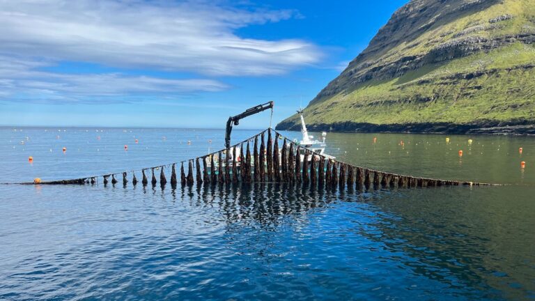 Triodos Food Transition Europe Fund beteiligt sich an Ocean Rainforest