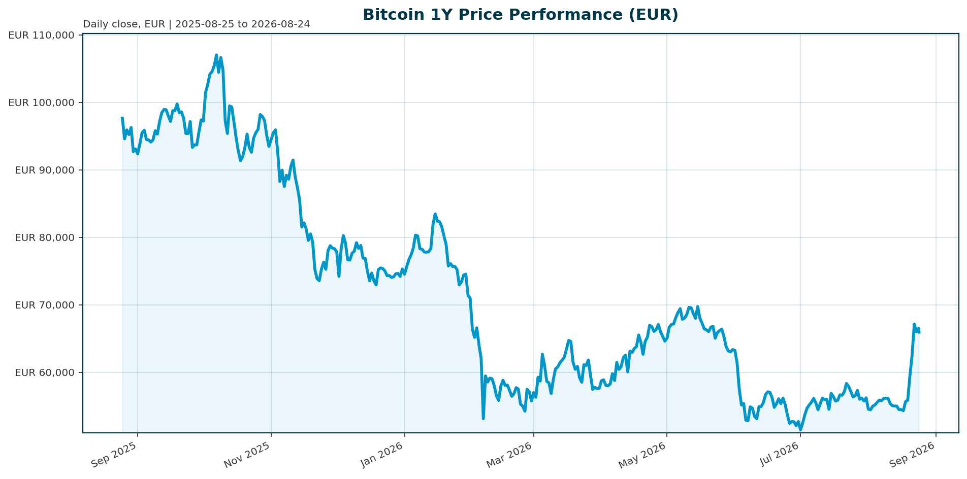 Bitcoin 1Y price chart in EUR