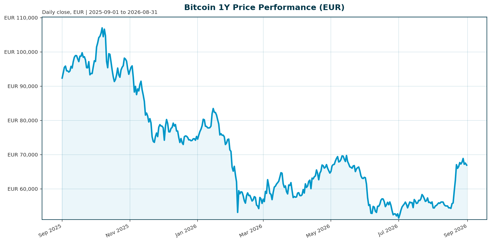 Bitcoin 1Y price chart in EUR
