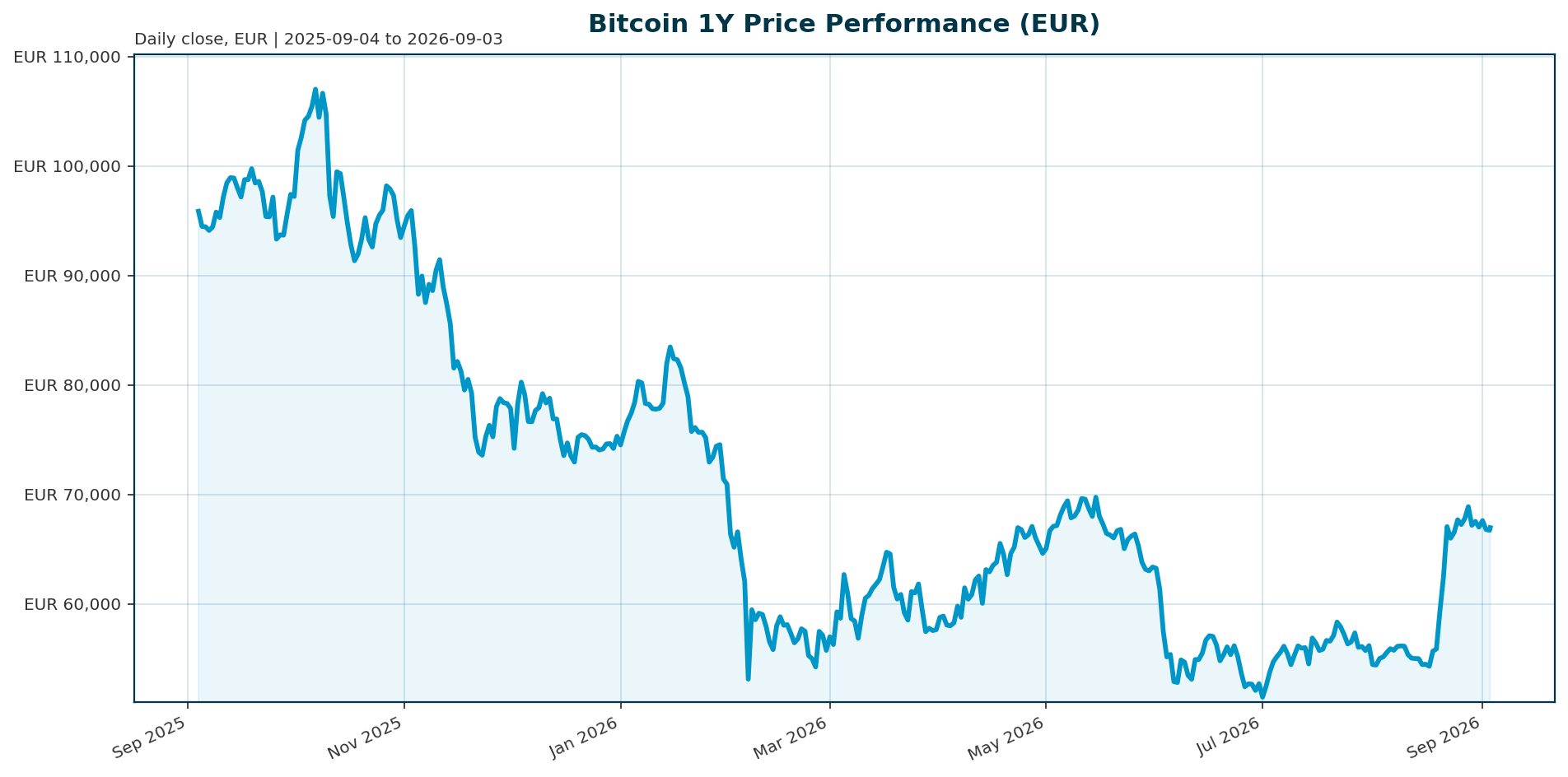 Bitcoin 1Y price chart in EUR