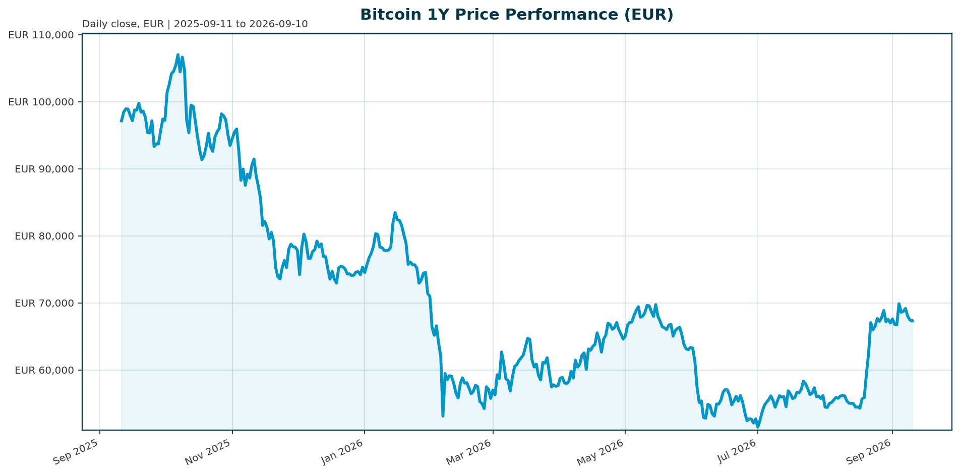 Bitcoin 1Y price chart in EUR