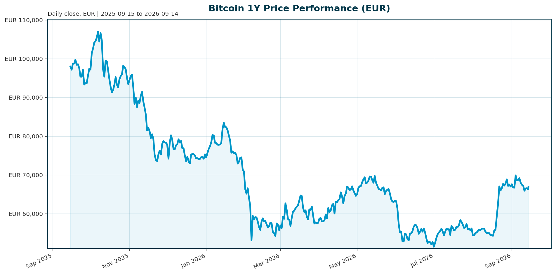 Bitcoin 1Y price chart in EUR
