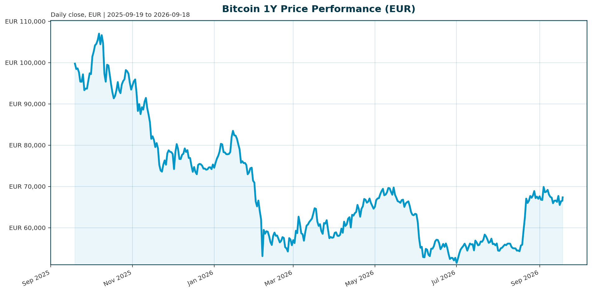 Bitcoin 1Y price chart in EUR