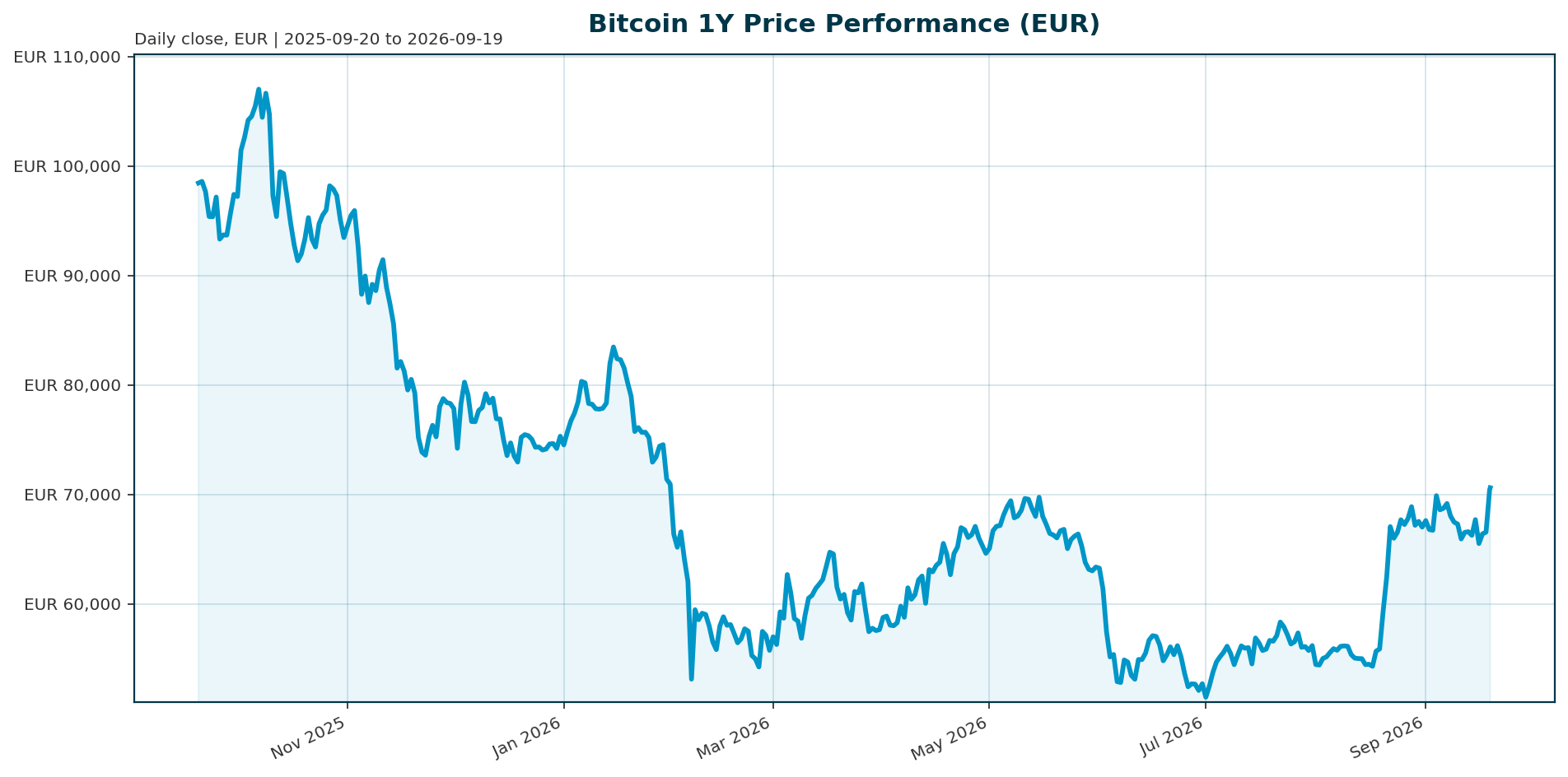 Bitcoin 1Y price chart in EUR