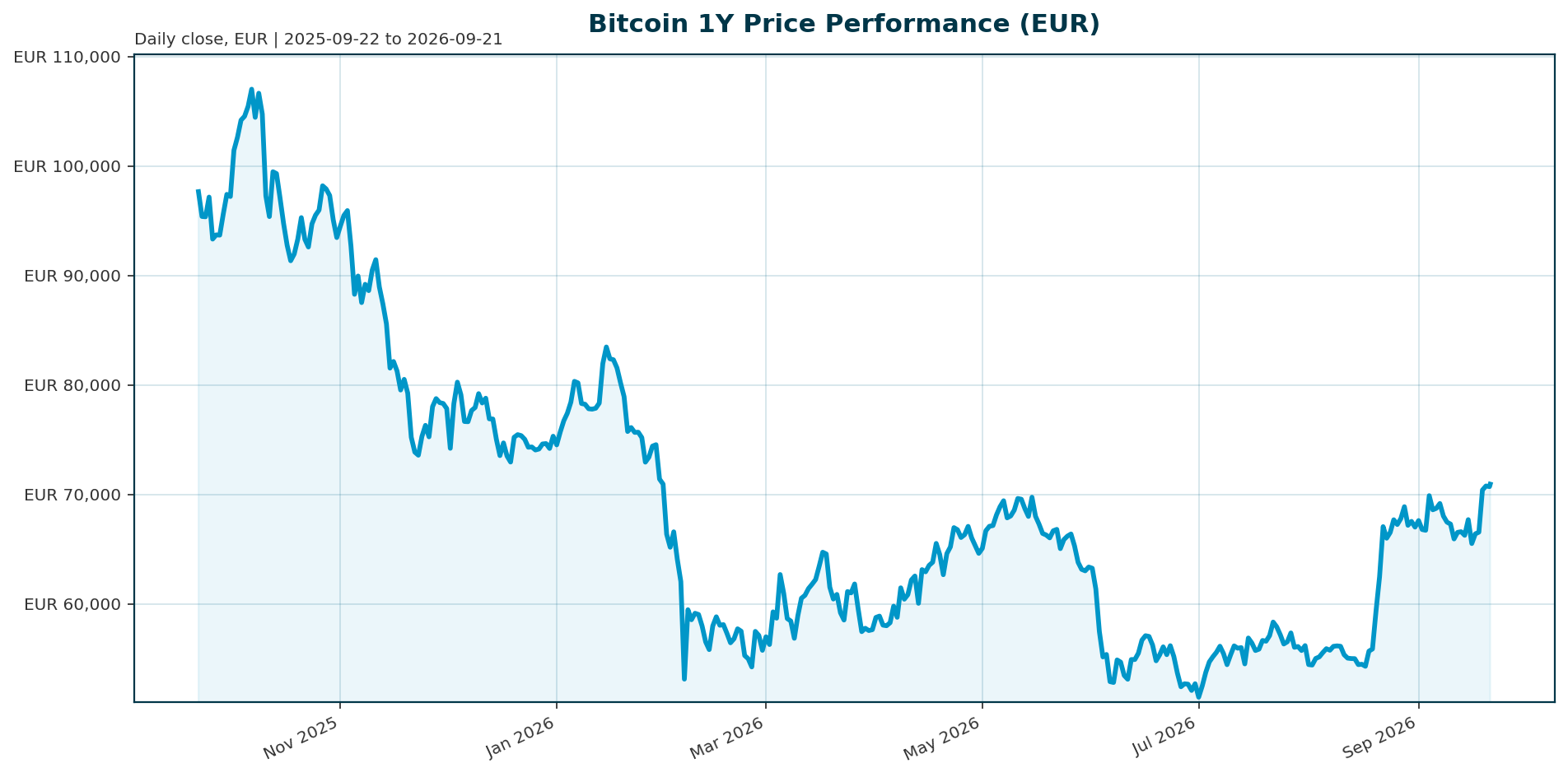 Bitcoin 1Y price chart in EUR