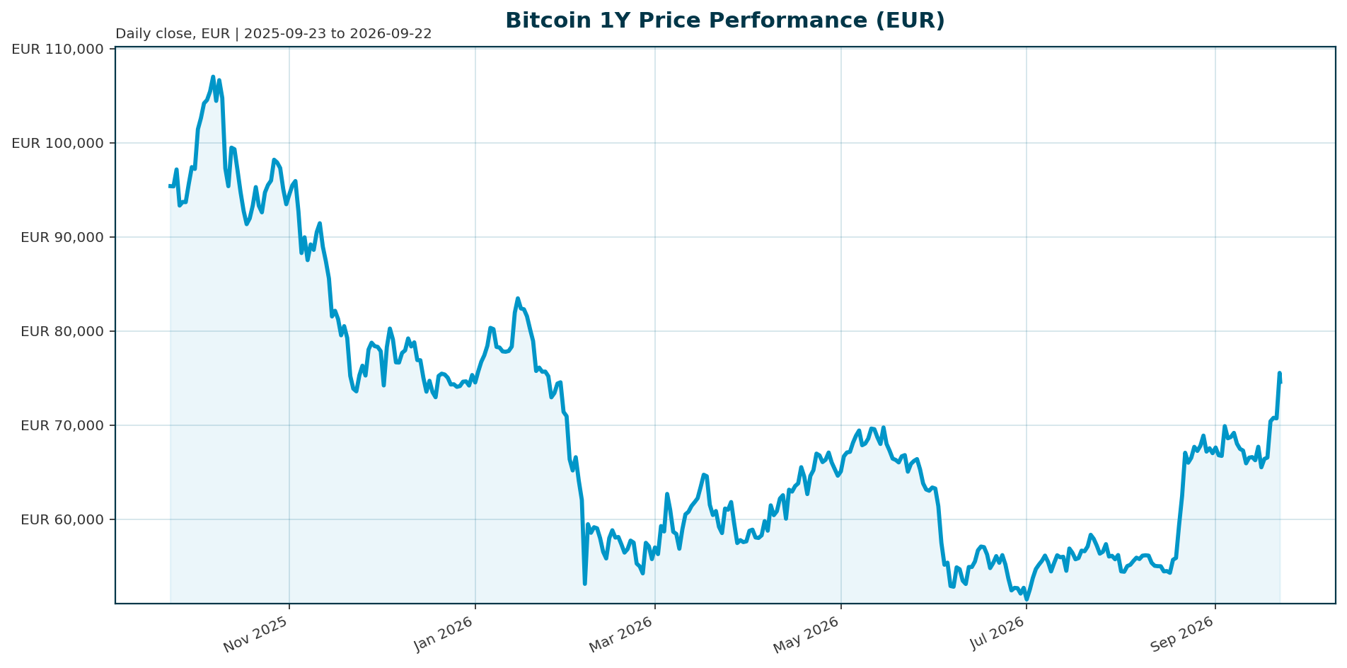 Bitcoin 1Y price chart in EUR